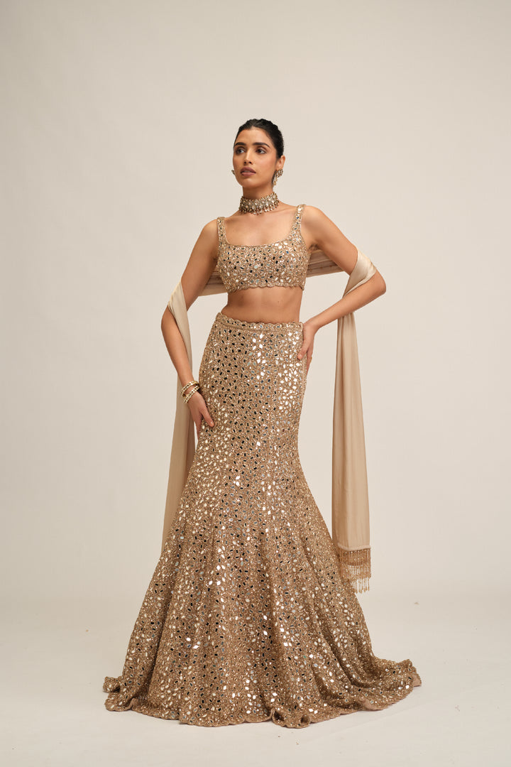 Light Beige Fishcut Lehenga Set