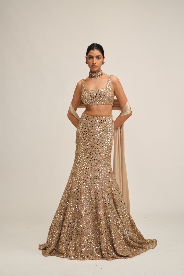 Light Beige Fishcut Lehenga Set