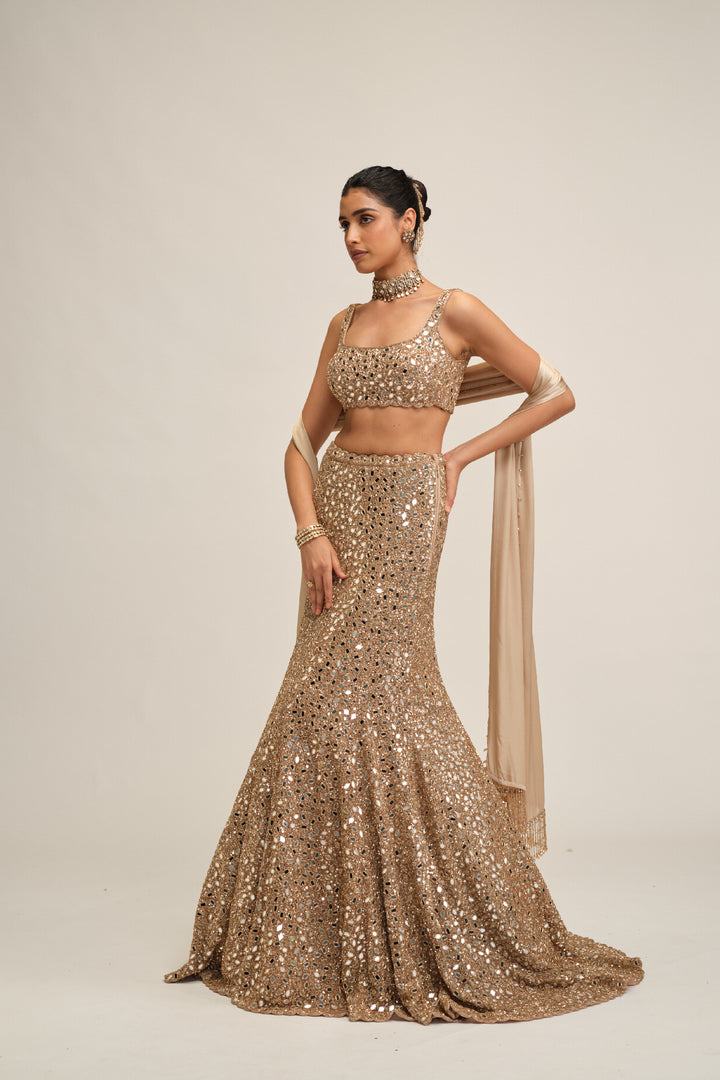 Light Beige Fishcut Lehenga Set