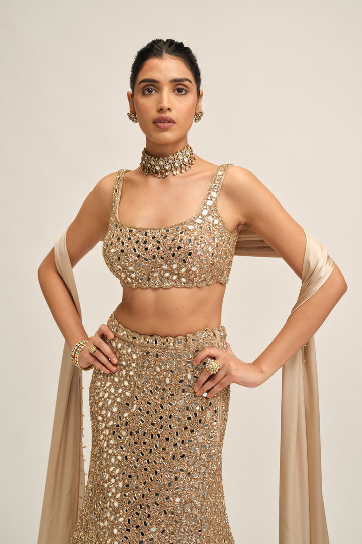 Light Beige Fishcut Lehenga Set