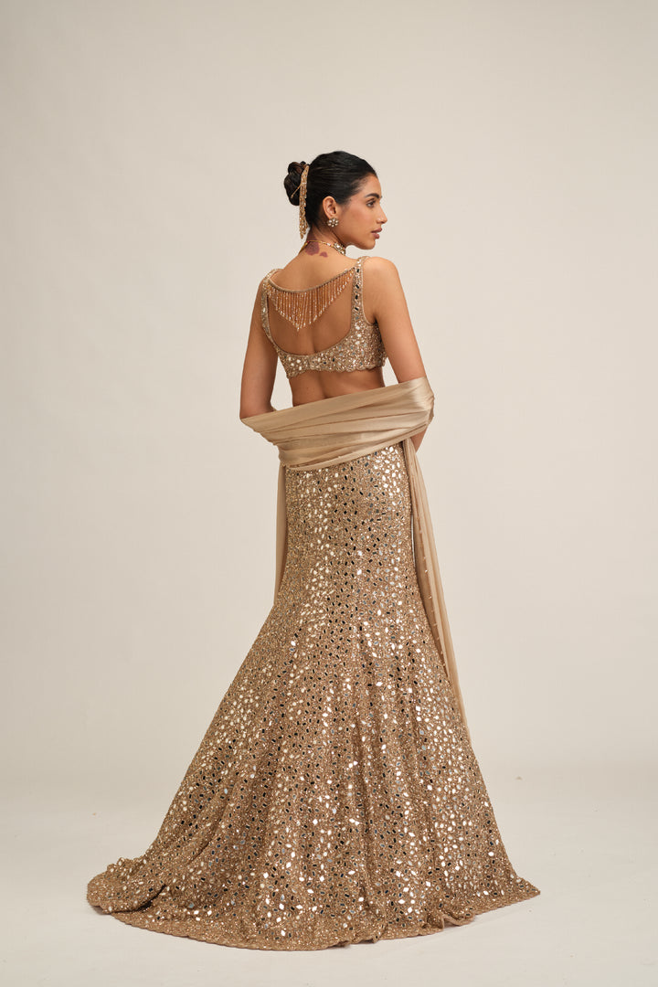Light Beige Fishcut Lehenga Set