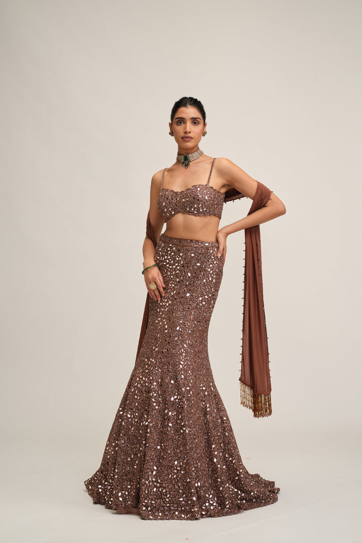 Deep Beige Fishcut Lehenga Set