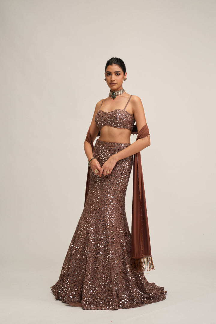 Deep Beige Fishcut Lehenga Set
