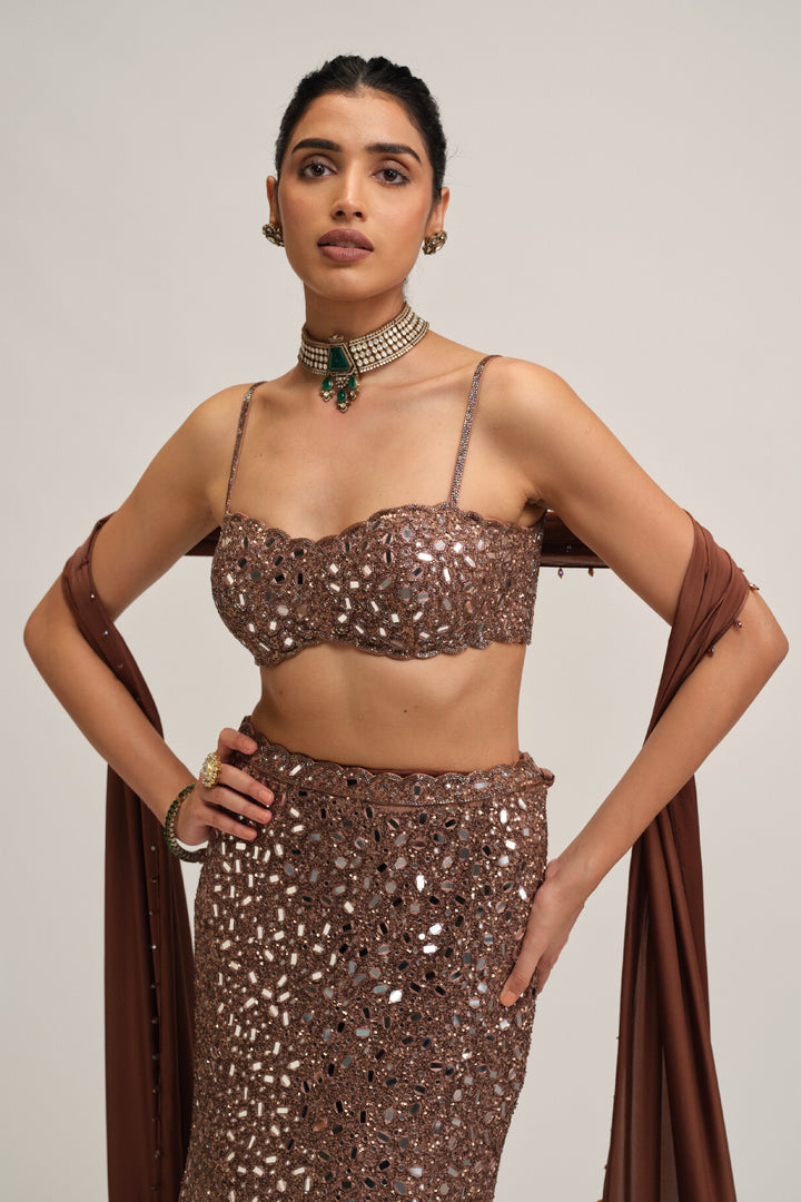 Deep Beige Fishcut Lehenga Set