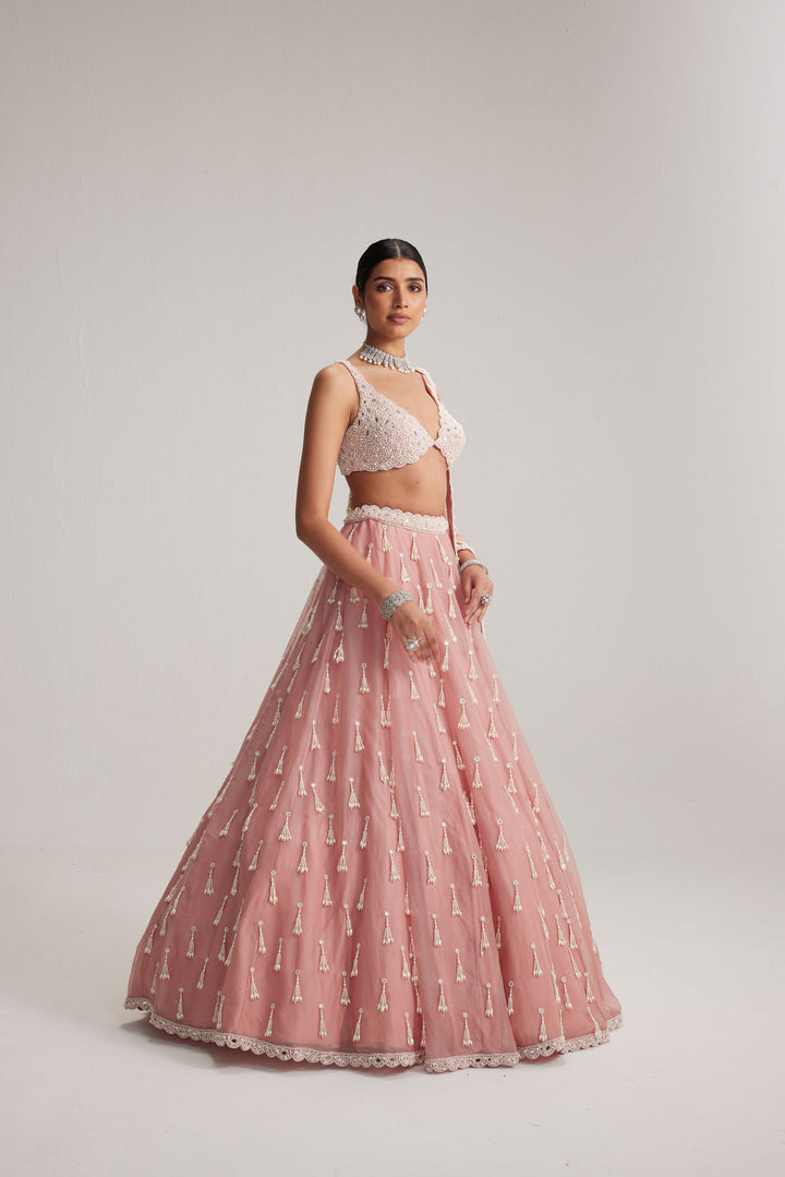 Dusty Rose Organza Long Pearl Tassels Lehenga Set