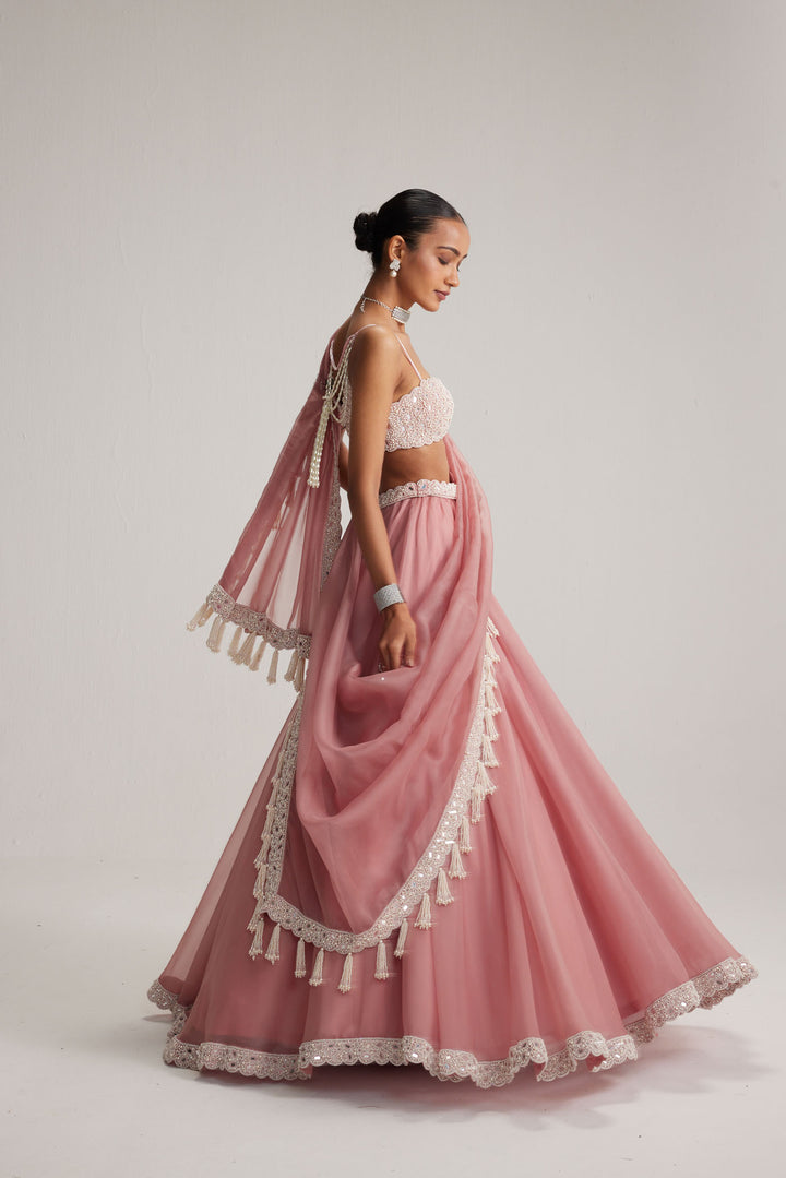 Dusty Rose Organza Mirror And Pearl Lehenga Set