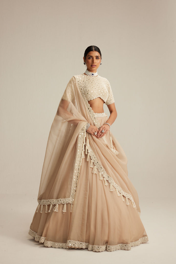 Light Beige High Neck Organza Mirror And Pearl Lehenga Set