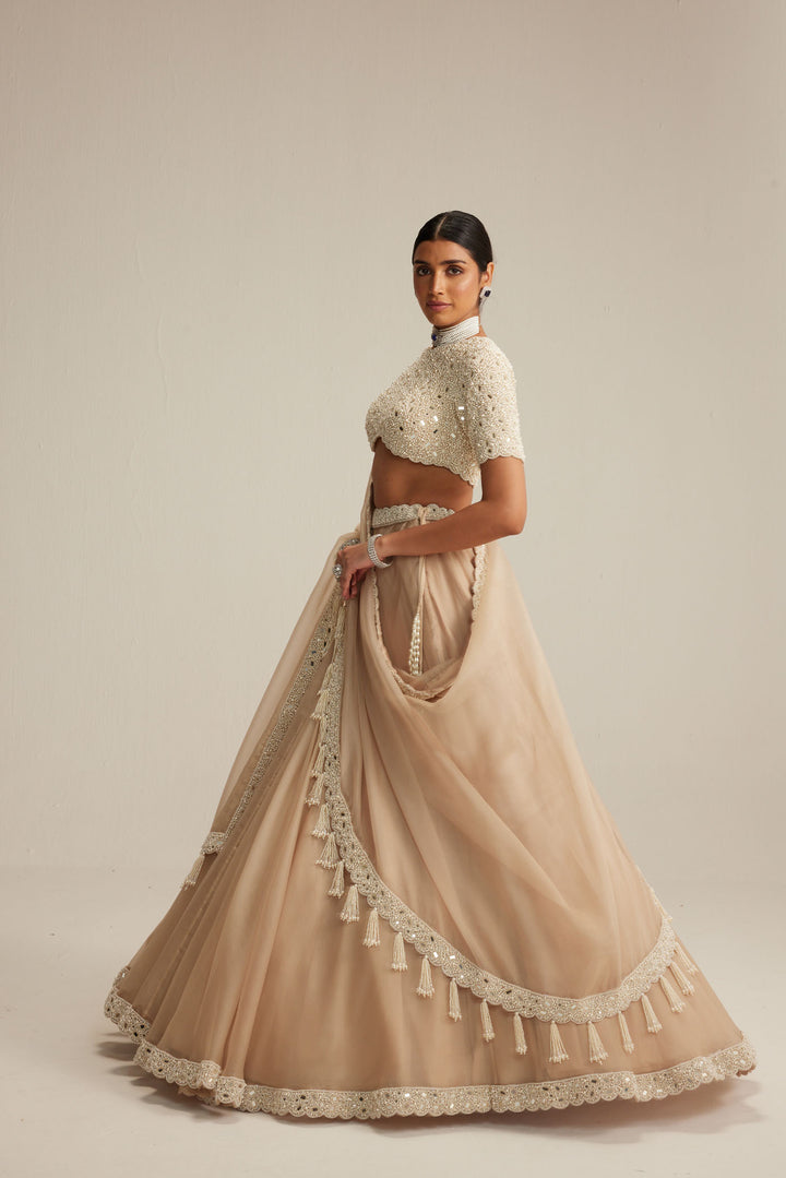 Light Beige High Neck Organza Mirror And Pearl Lehenga Set