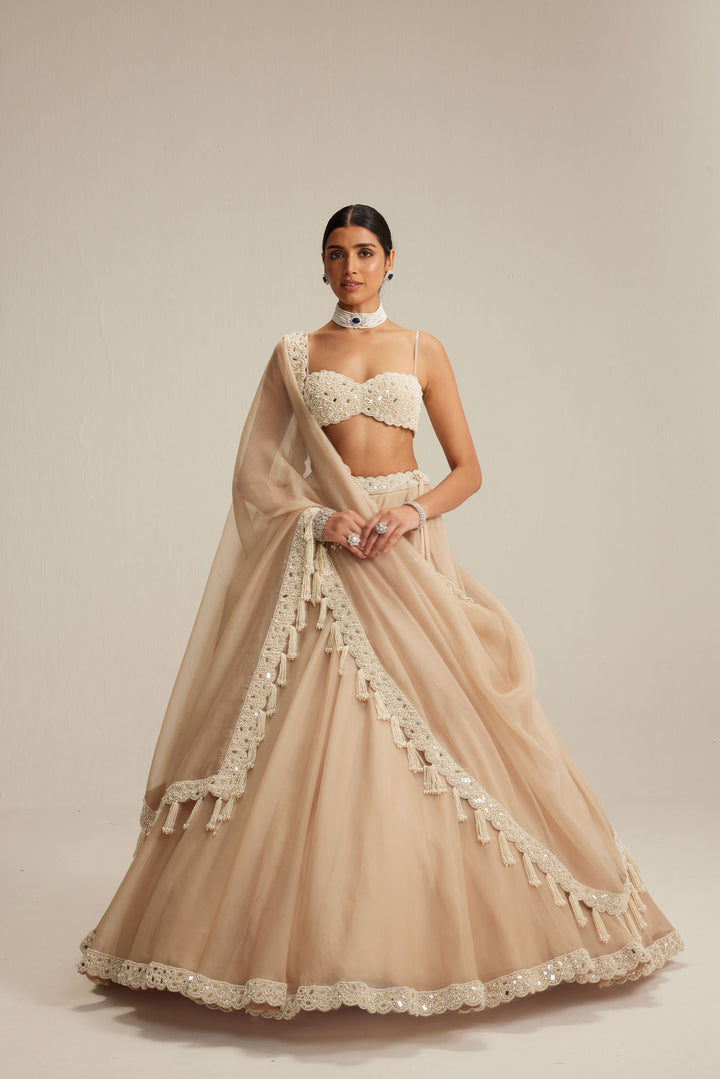 Light Beige Organza Mirror And Pearl Lehenga Set