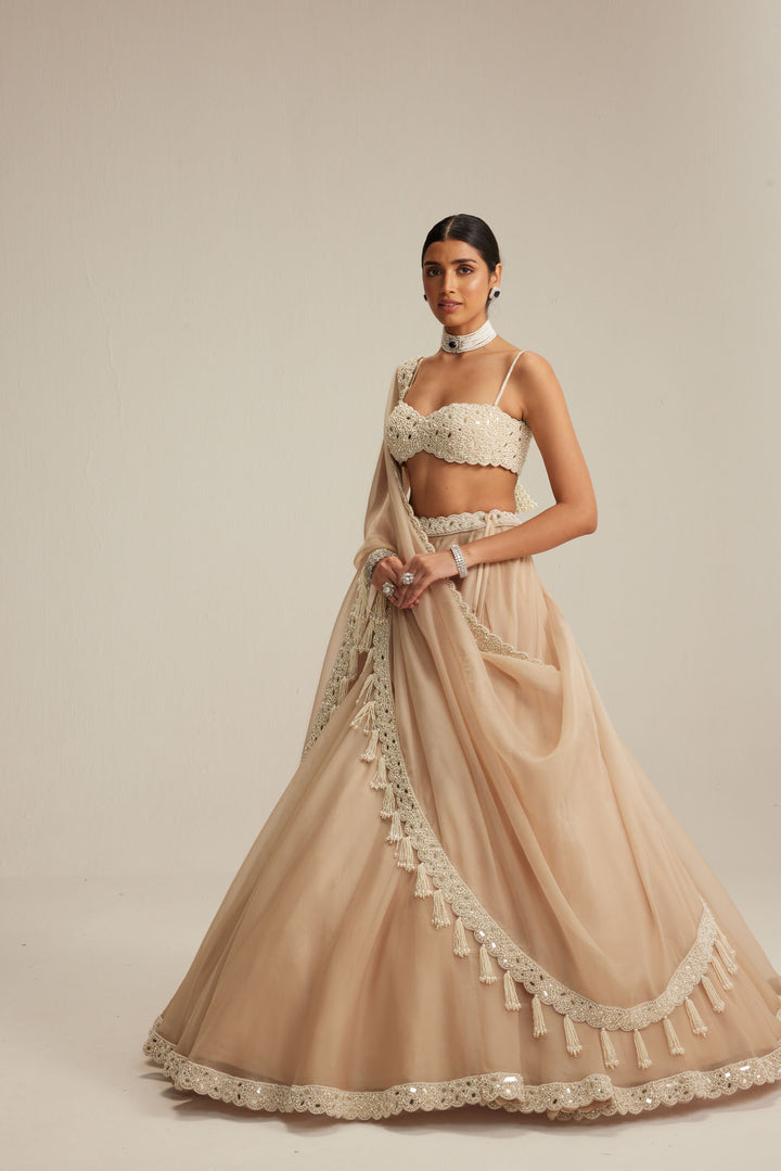 Light Beige Organza Mirror And Pearl Lehenga Set