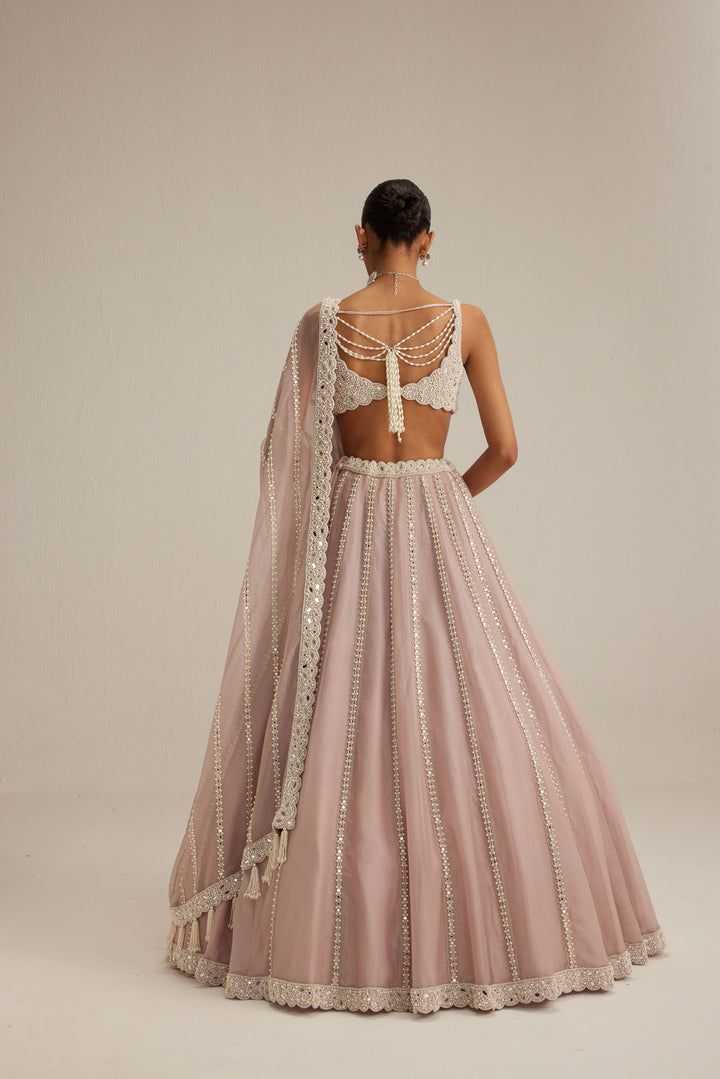 Ash Pink Pearl Mirror Linear Lehenga With V Neck Blouse
