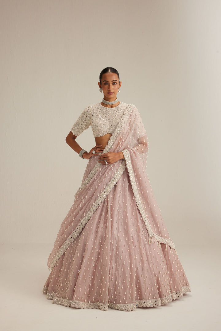 Ash Pink Pearl Drop Lehenga With High Neck Blouse