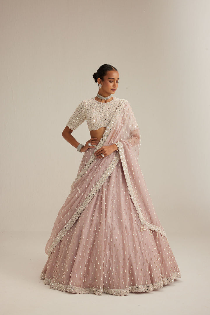Ash Pink Pearl Drop Lehenga With High Neck Blouse