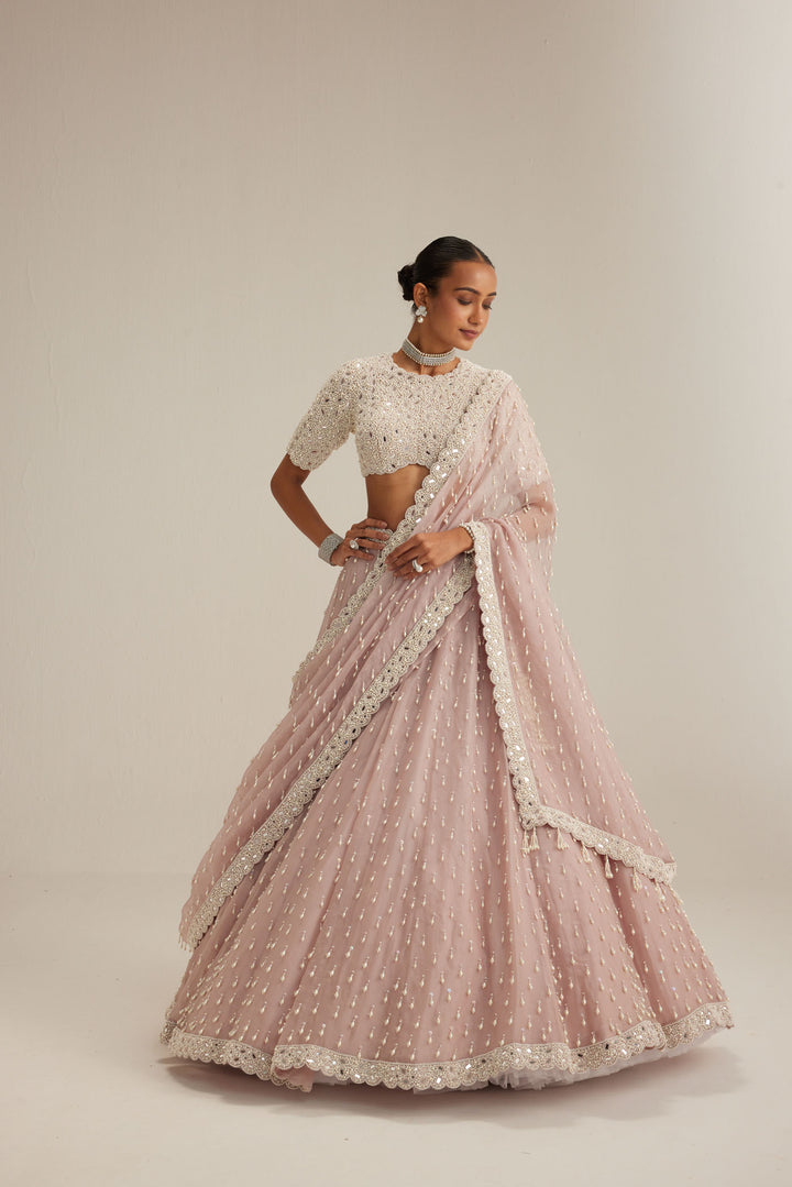 Ash Pink Pearl Drop Lehenga With High Neck Blouse