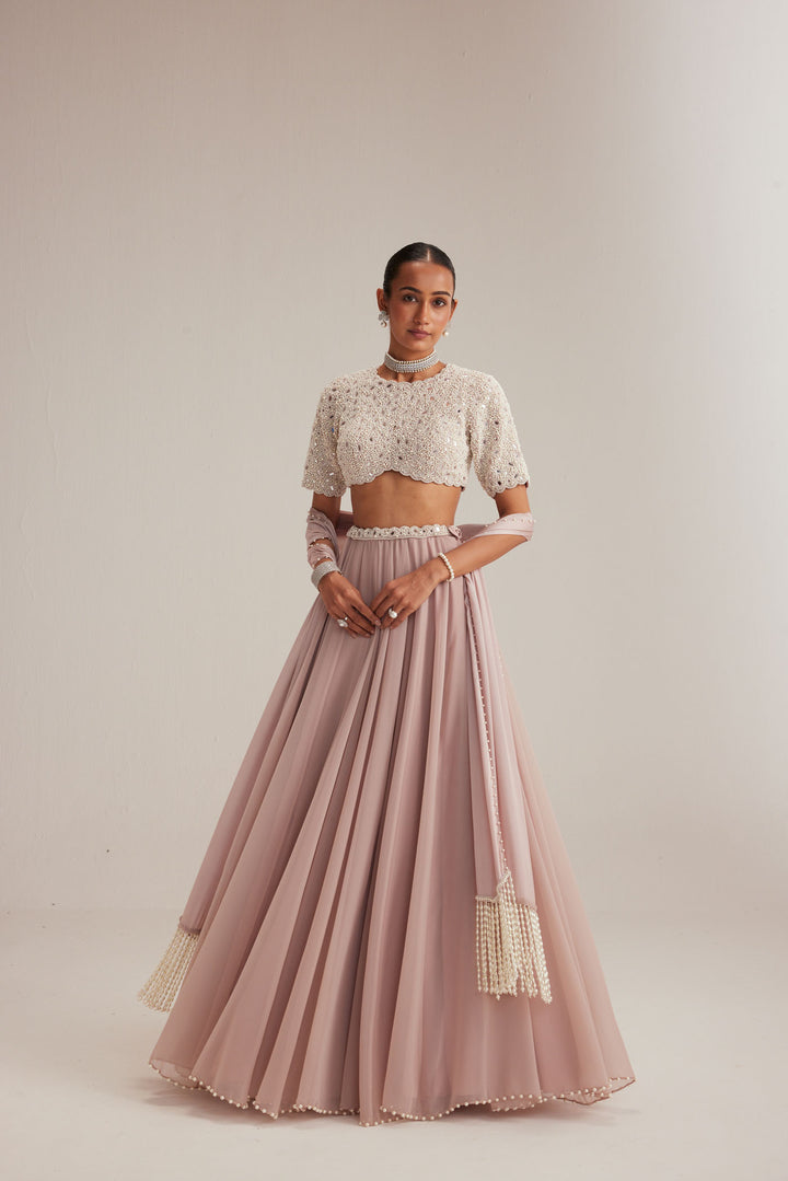 Ash Pink Georgette Skirt With High Neck Blouse And Stole
