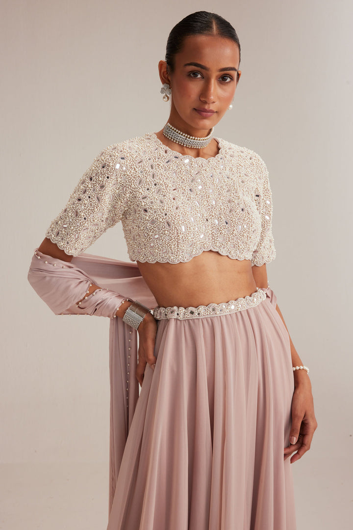 Ash Pink Georgette Skirt With High Neck Blouse And Stole