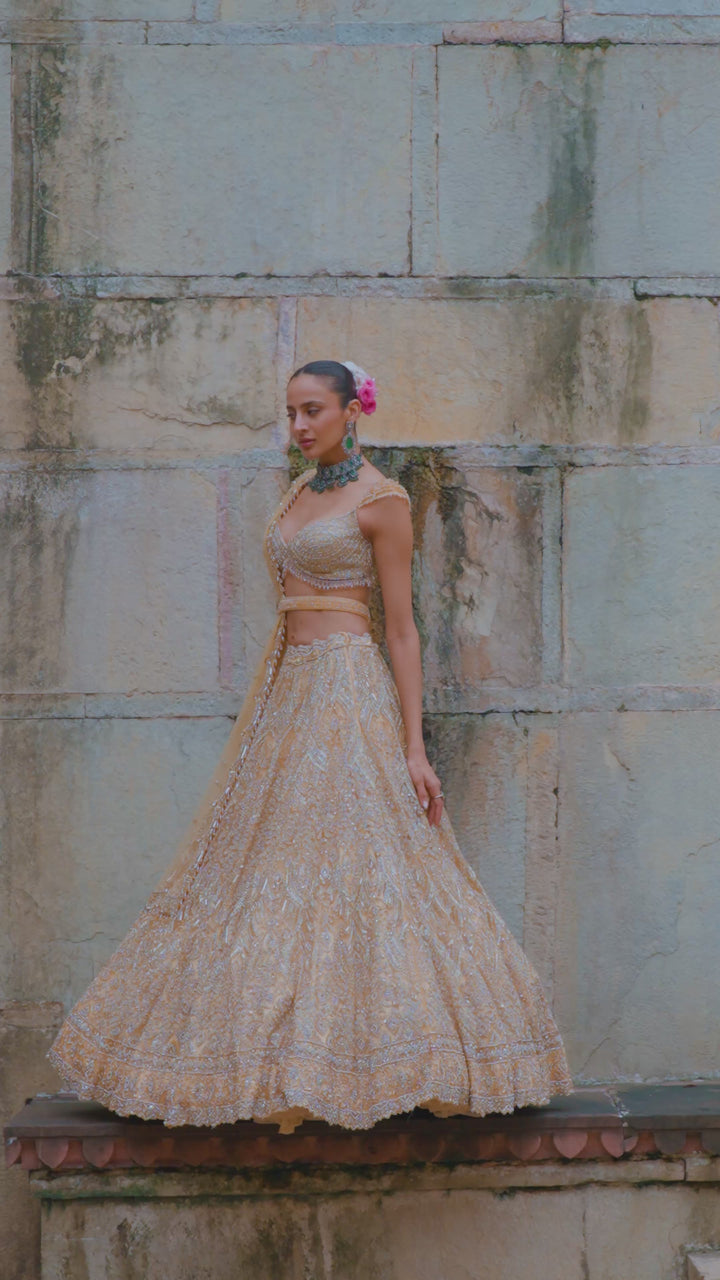 Gold Reva Lehenga