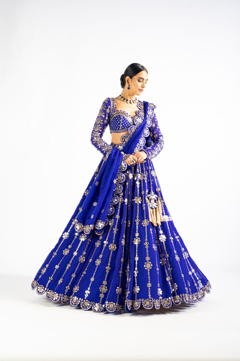Royal Blue Big Flower Linear Lehenga Set